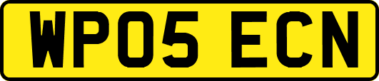 WP05ECN