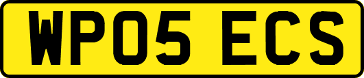 WP05ECS