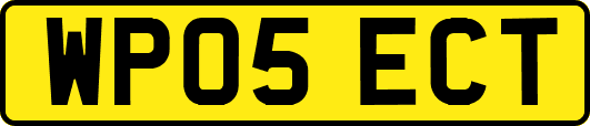WP05ECT