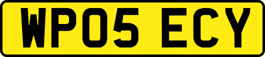 WP05ECY