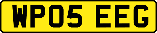 WP05EEG