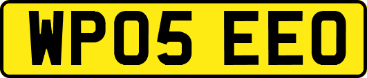WP05EEO