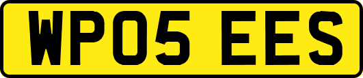 WP05EES