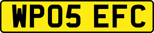 WP05EFC