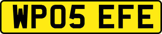 WP05EFE