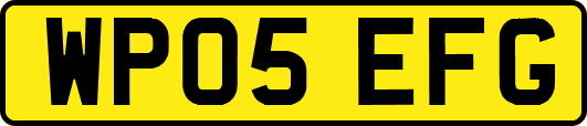 WP05EFG