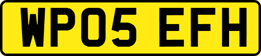 WP05EFH