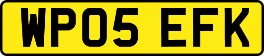 WP05EFK