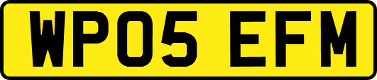 WP05EFM