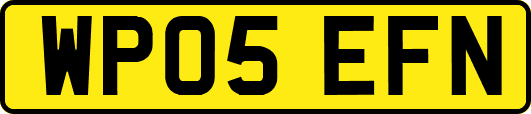 WP05EFN