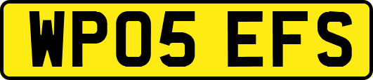 WP05EFS