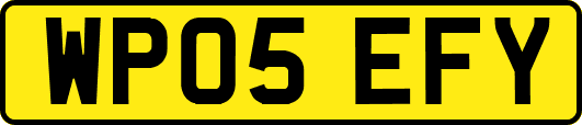 WP05EFY