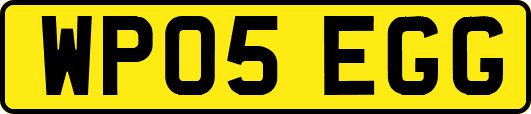 WP05EGG