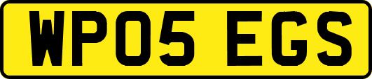 WP05EGS