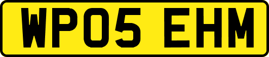 WP05EHM