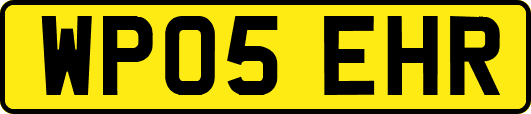 WP05EHR