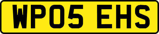 WP05EHS