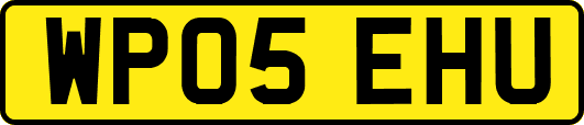WP05EHU