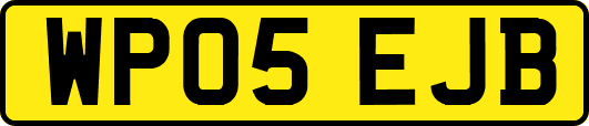 WP05EJB