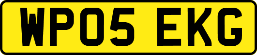 WP05EKG