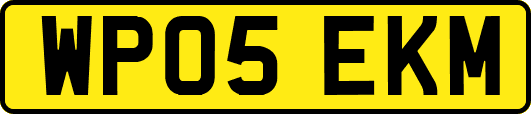 WP05EKM