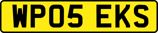 WP05EKS