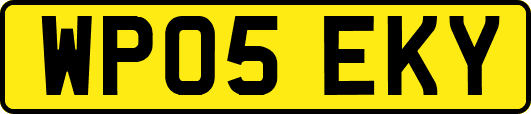 WP05EKY