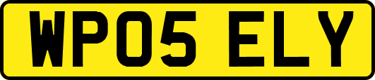 WP05ELY