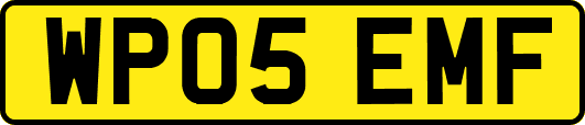 WP05EMF