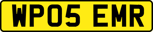 WP05EMR