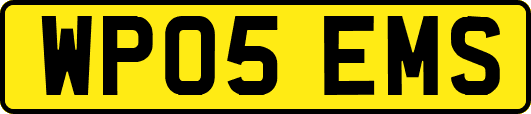 WP05EMS
