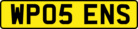 WP05ENS