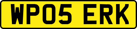 WP05ERK