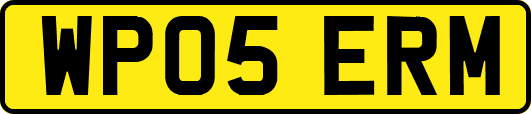 WP05ERM