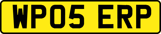WP05ERP