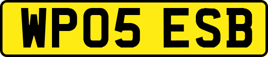 WP05ESB