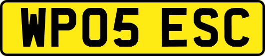 WP05ESC