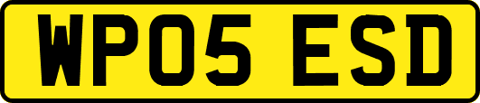 WP05ESD