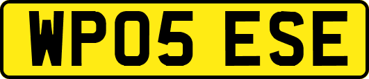 WP05ESE