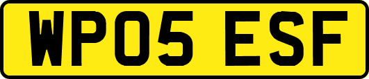 WP05ESF