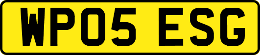 WP05ESG