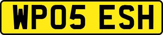 WP05ESH