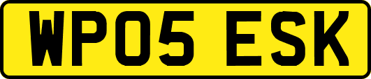 WP05ESK