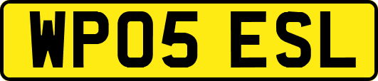 WP05ESL