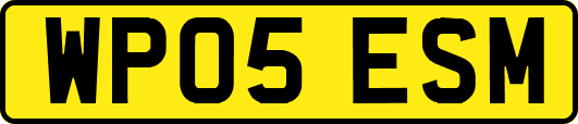 WP05ESM