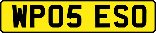 WP05ESO