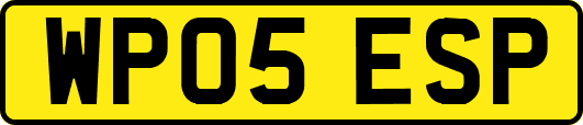 WP05ESP