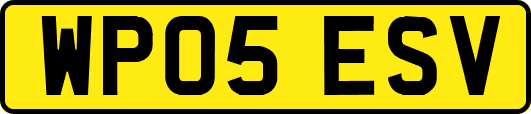 WP05ESV