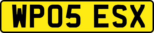 WP05ESX
