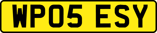 WP05ESY